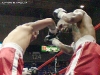 12_collins_kolenovic_08
